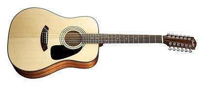 CD-100 12-String
